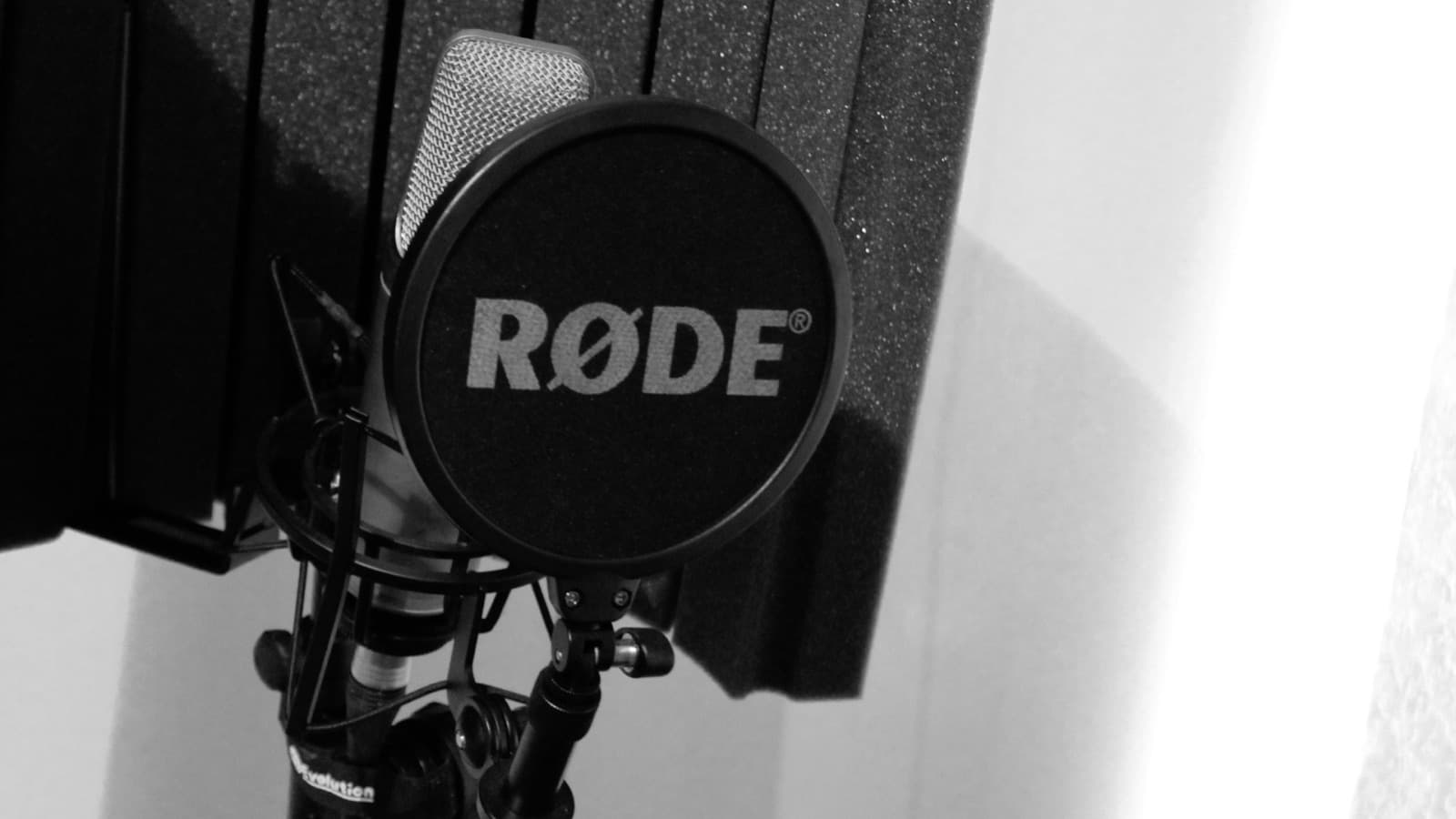 A studio condenser microphone with a pop filter