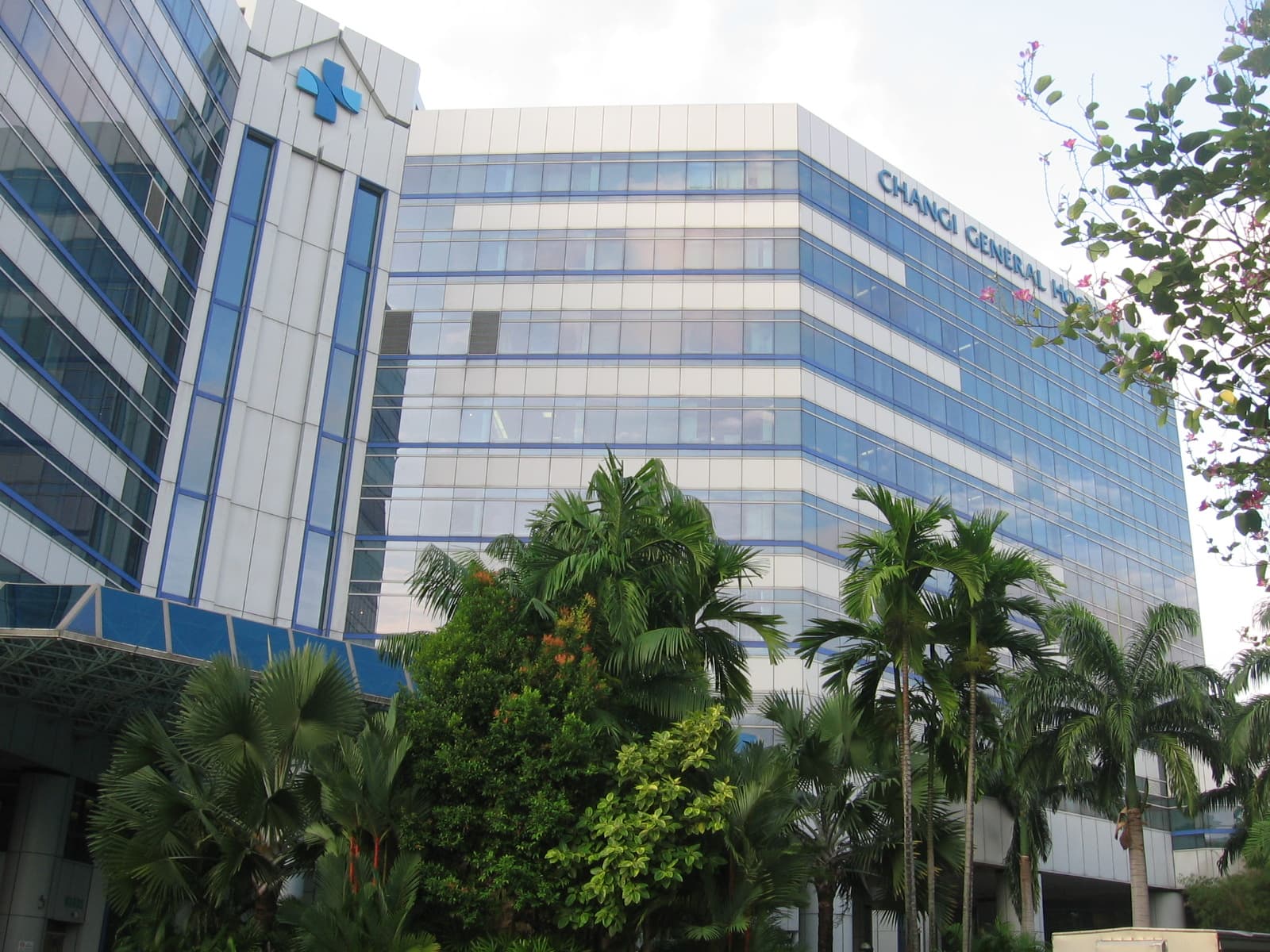 Changi General Hospital building in Singapore, framed by palm trees under a blue sky, with its blue-cross hospital signage.